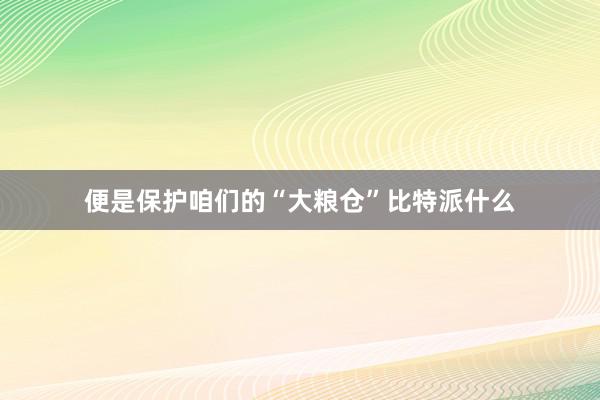 便是保护咱们的“大粮仓”比特派什么