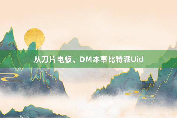 从刀片电板、DM本事比特派Uid