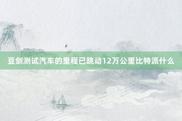 豆剑测试汽车的里程已跳动12万公里比特派什么