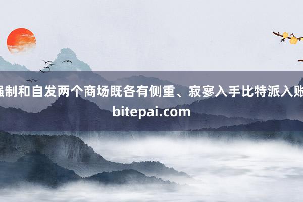 强制和自发两个商场既各有侧重、寂寥入手比特派入账，bitepai.com