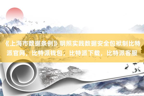 《上海市数据条例》明照实践数据安全包袱制比特派官网，比特派钱包，比特派下载，比特派客服