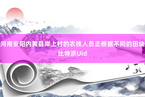 河南安阳内黄县岸上村的农技人员正根据不同的田块比特派Uid