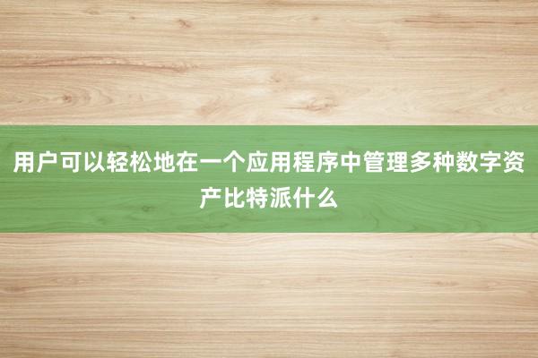 用户可以轻松地在一个应用程序中管理多种数字资产比特派什么