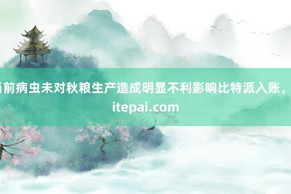 当前病虫未对秋粮生产造成明显不利影响比特派入账，bitepai.com