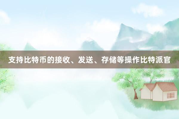 支持比特币的接收、发送、存储等操作比特派官