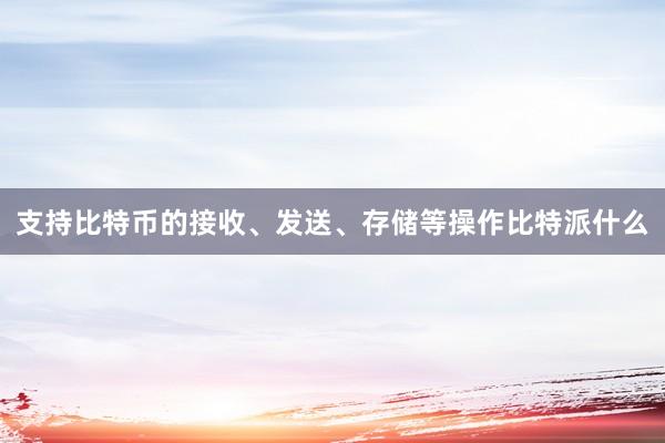 支持比特币的接收、发送、存储等操作比特派什么