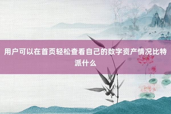 用户可以在首页轻松查看自己的数字资产情况比特派什么