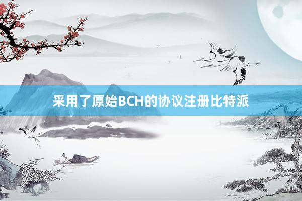 采用了原始BCH的协议注册比特派