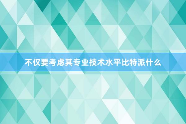 不仅要考虑其专业技术水平比特派什么