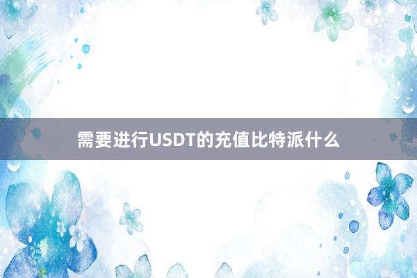 需要进行USDT的充值比特派什么