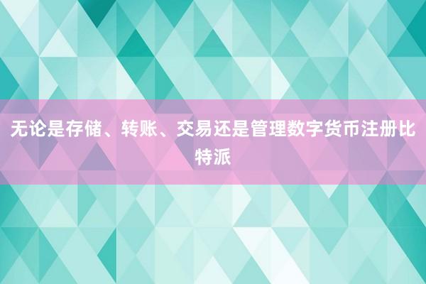 无论是存储、转账、交易还是管理数字货币注册比特派