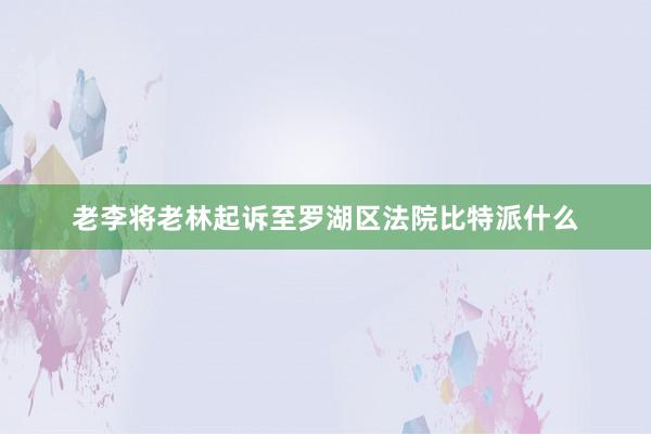 老李将老林起诉至罗湖区法院比特派什么