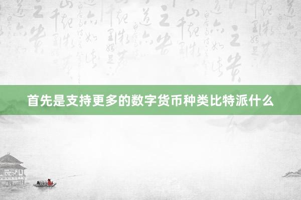 首先是支持更多的数字货币种类比特派什么