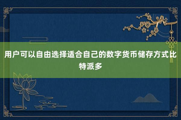 用户可以自由选择适合自己的数字货币储存方式比特派多