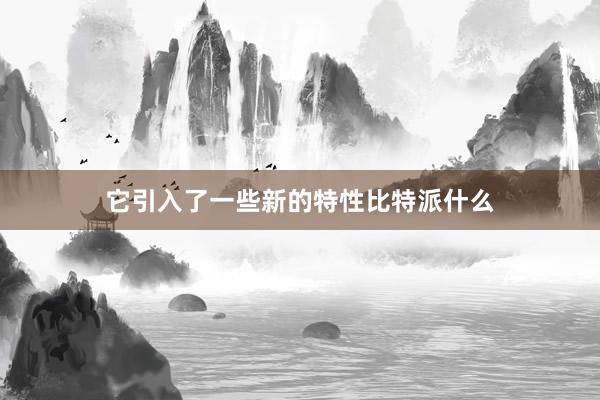 它引入了一些新的特性比特派什么