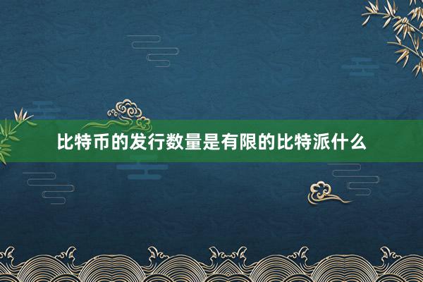 比特币的发行数量是有限的比特派什么