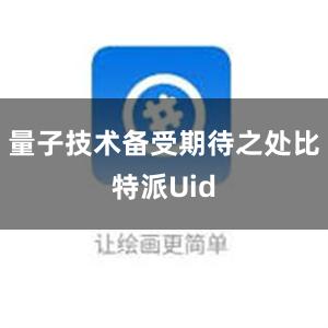 量子技术备受期待之处比特派Uid