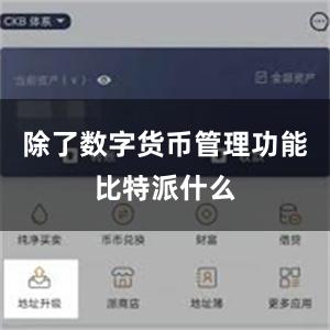 除了数字货币管理功能比特派什么