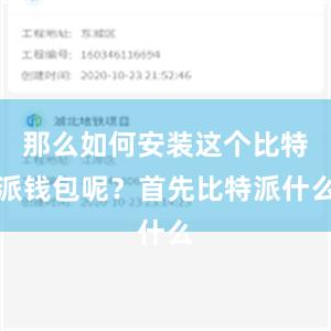 那么如何安装这个比特派钱包呢？首先比特派什么