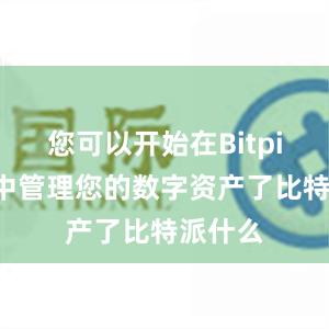 您可以开始在Bitpie钱包中管理您的数字资产了比特派什么