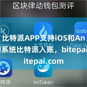 比特派APP支持iOS和Android系统比特派入账，bitepai.com