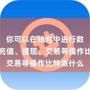 你可以在钱包中进行数字货币的充值、提现、交易等操作比特派什么