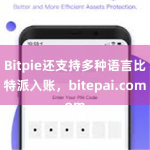 Bitpie还支持多种语言比特派入账，bitepai.com