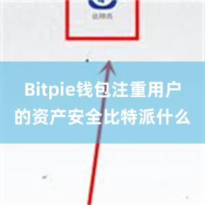 Bitpie钱包注重用户的资产安全比特派什么