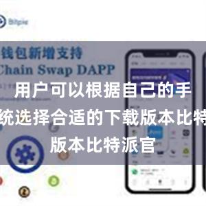 用户可以根据自己的手机系统选择合适的下载版本比特派官