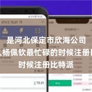 是河北保定市欣海公司负责人杨佩钦最忙碌的时候注册比特派