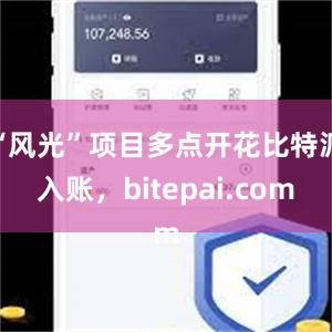 “风光”项目多点开花比特派入账，bitepai.com