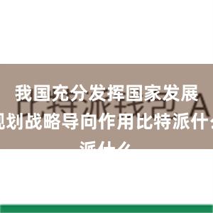 我国充分发挥国家发展规划战略导向作用比特派什么