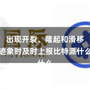 出现开裂、隆起和滑移迹象时及时上报比特派什么