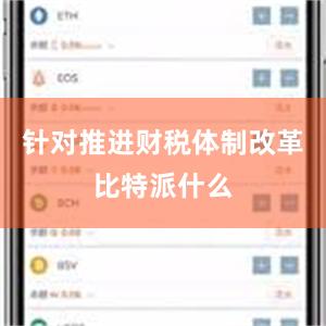 针对推进财税体制改革比特派什么